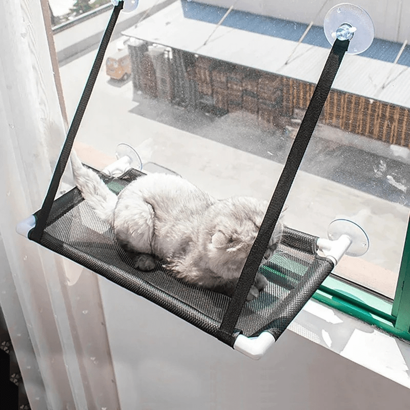 Sturdy Suction Cup Orthopedic Cat Window Perch