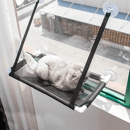 Sturdy Suction Cup Orthopedic Cat Window Perch