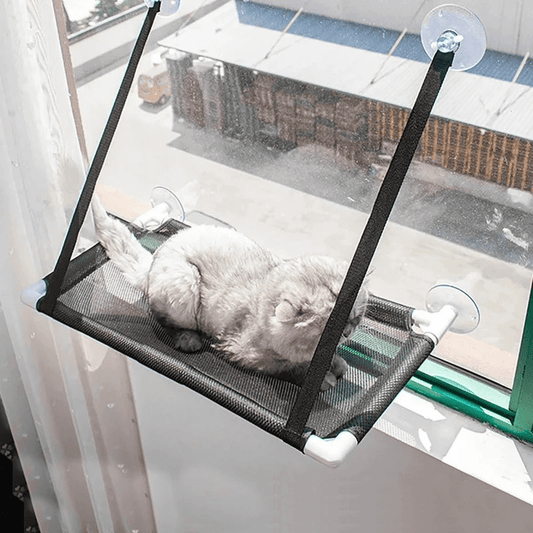 Sturdy Suction Cup Orthopedic Cat Window Perch